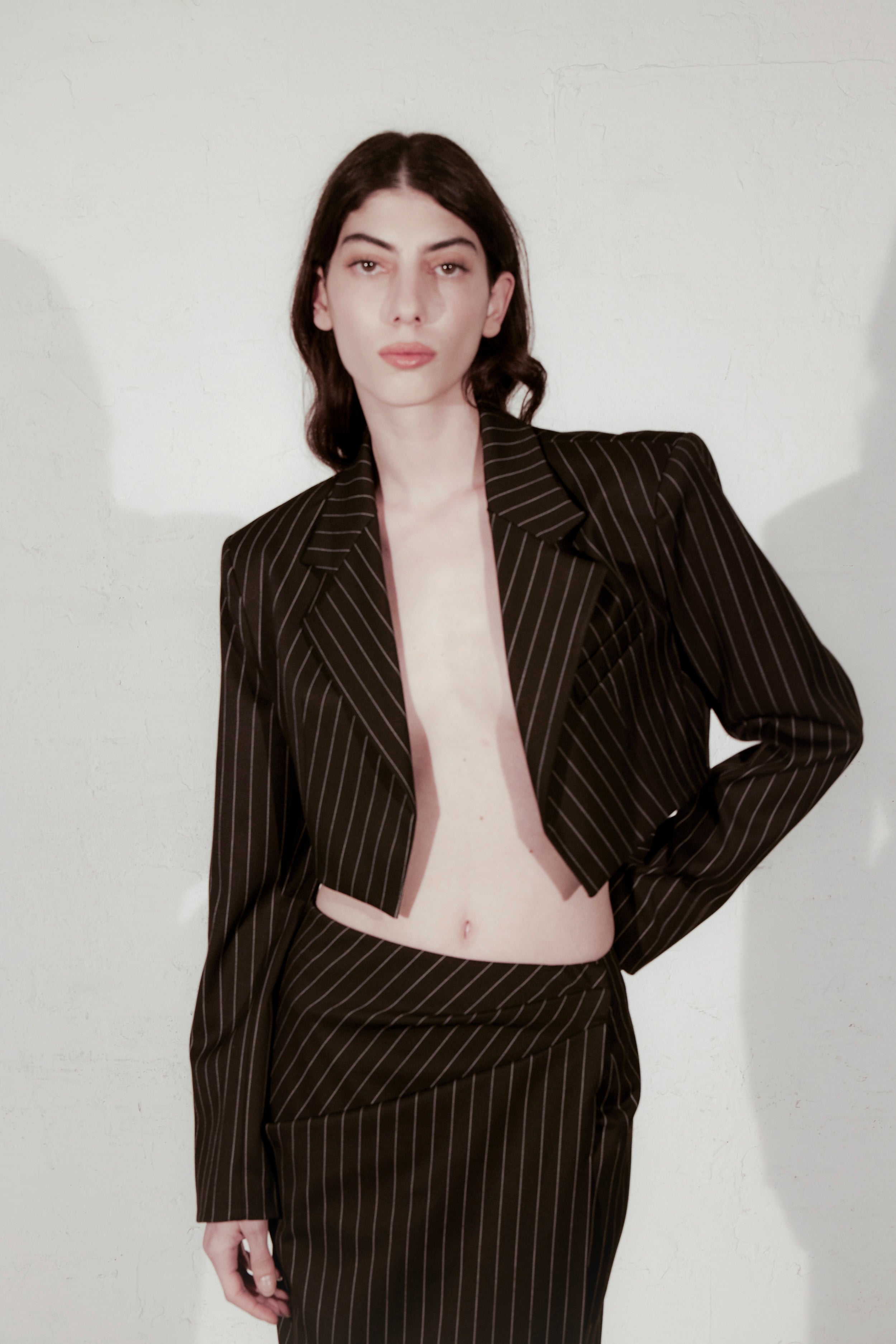 ARIANA BLAZER IN PINSTRIPE